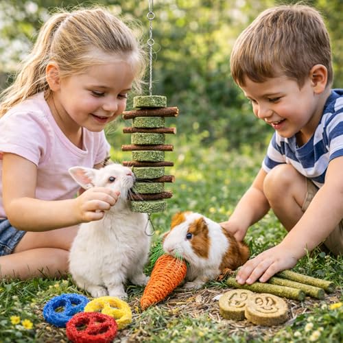 Grddaef 20 PCS Bunny Chew Toys for Teeth, Natural Rabbit Toys Apple Wood Grass Timothy Sticks Chew and Treat for Guinea Pi...