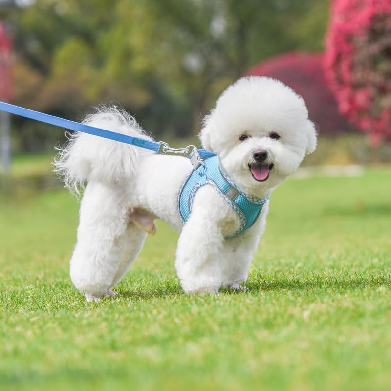 Dog Harness and Leash Set, No Pull Adjustable Reflective Pet Harness for Small Medium Dogs, Step in Vest Harness Easy Walk...