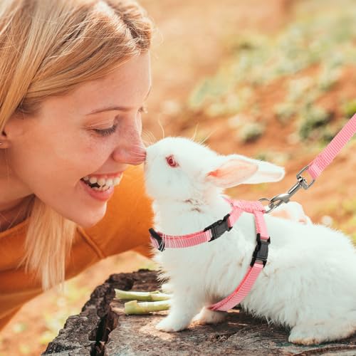 Outus 5 Pieces Adjustable Rabbit Harness and Leash Set Escape Proof Bunny Harness Vest for Pet Running Walk Jogging Bunny ...