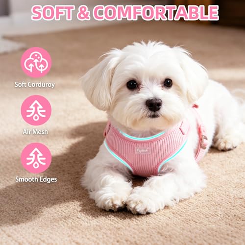 PUPTECK Dog Harness Collar and Leash Set, Adjustable No Pull Pet Vest Harness, Soft Mesh Corduroy with Cute Bow Tie, for S...