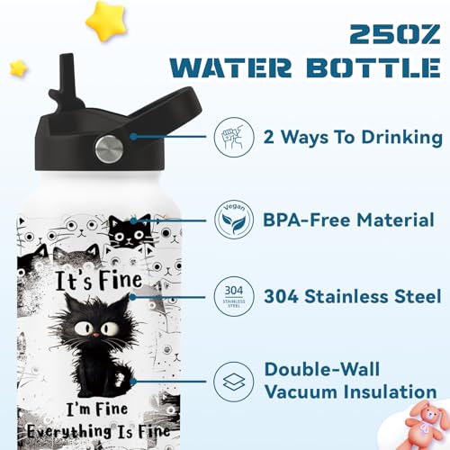Cat Gifts for Women, 25oz Fine Cat Water Bottle with 2 Lid & Straw - I'm Fine Black Cats Insulated Water Bottles, BPA-free...