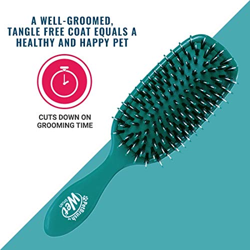 Wet Brush Pet Hair Brush, Smooth, Shiny Fur, Dog and Cat Hairbrush, De-Shedding Comb & Dematting Tool for Grooming Long or...