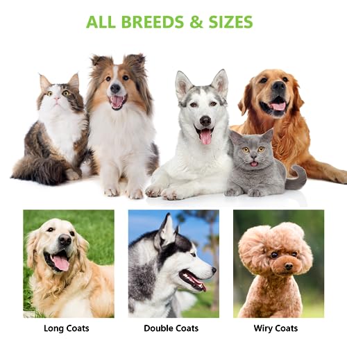 Staltwo Deshedding Dog Brush for Shedding - 2-in-1 Professional Undercoat Rake and Furminator for Dogs | Shedding Control ...