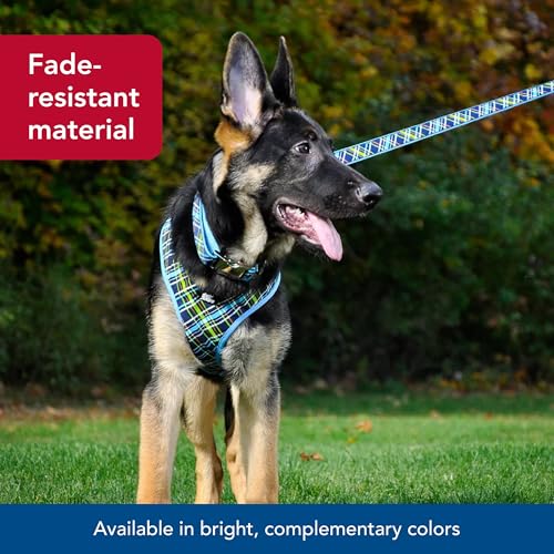 Coastal Pet Ribbon Dog Leash - Contemporary Stylish Look - Durable Fade-Resistant Nylon Material - Perfect for Dogs Brown ...