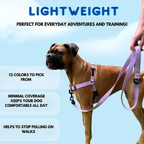 ShawnCo Dream Walk No-Pull Dog Harness- Adjustable, Comfortable, Easy to Use Pet Halter to Help Stop Pulling for Small, Me...
