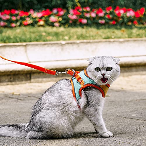 JSXD Cat Harness,Leash and Collar Set,Escape Proof Kitten Vest Harness for Walking,Easy Control Night Safe Pet Harness wit...