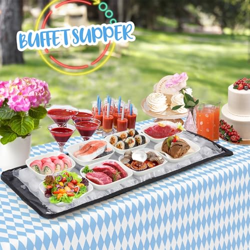 2 Pcs Reusable Cooling Sheet for Keeping Food Fresh Outside Party - Flexible Ice Packs Blankets Keep Meat Cold, Replacemen...