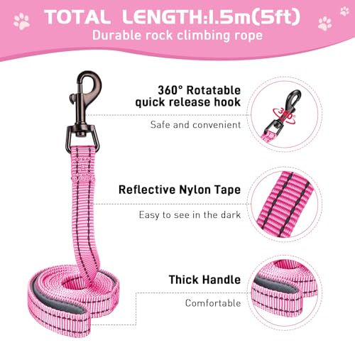 HIHANHAN Soft Mesh Dog Harness and Leash Set, No Pull Puppy Harness and Leash Set, Reflective Step in Harness for Small Me...