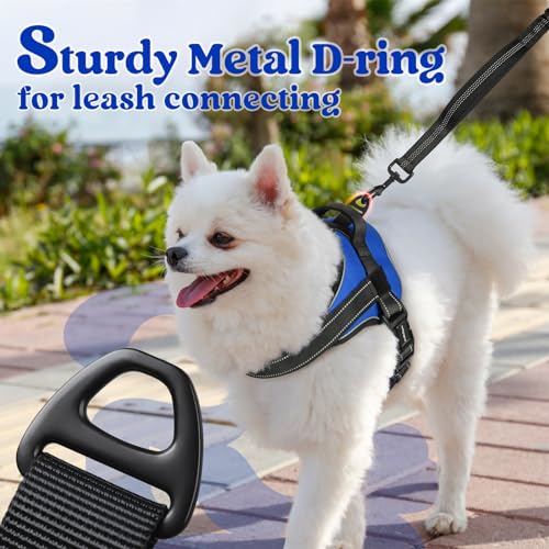 rabbitgoo Dog Harness Medium Sized, No Pull No Choke Pet Vest, Easy Wearing with One Buckle, Reflective, Adjustable Pet Ha...