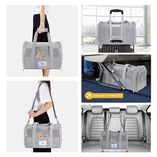 SECLATO Cat Carrier Pet Dog Carrier Airline Approved for Puppy Kitten Carriers Under 15lb, Collapsible Soft Sided TSA Appr...
