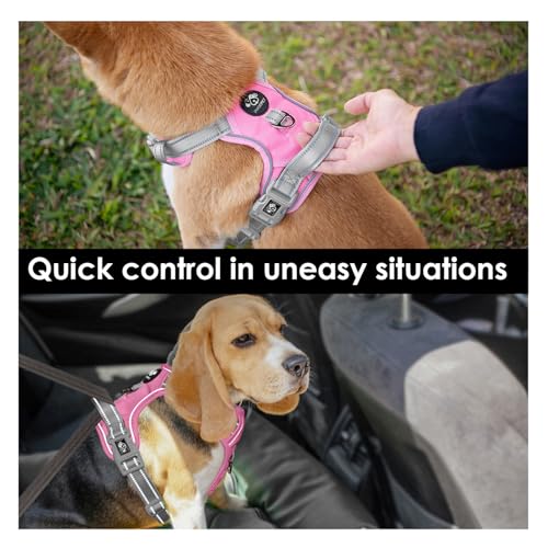 PHOEPET No Pull Dog Harness, Unique Colors Reflective Adjustable Dog Vest, with Soft Training Handle Metal Clips for Small...