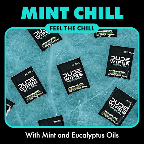 DUDE Wipes On-The-Go Mint Chill Travel Wipes - 30 Count (Individually Wrapped) - Extra-Large Adult Flushable Wipes - Infus...