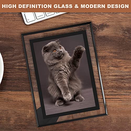 IZIDDO 4x6 Picture Frames Set of 2, Black Glass Photo Frame, Only for Tabletop Display, Gift Picture Frame, Horizontally o...