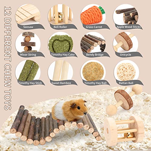YIXUND Hamster Cage Accessories, 12 Different Chew Toys for Guinea Pig, Chinchillas, Gerbils, Mice, Rats, Mouse, Rabbit, B...