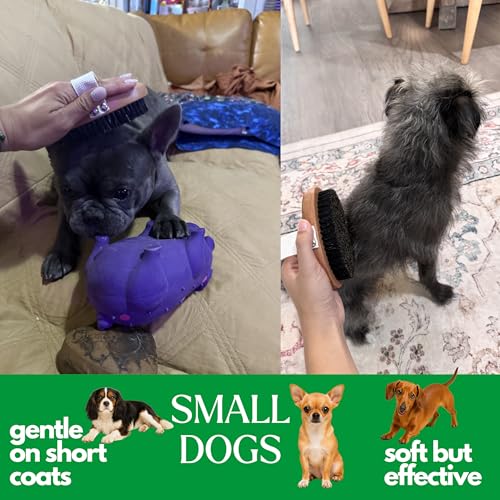 GranNaturals Soft Bristle Dog Brush for Short Haired Dogs & Cats w/Strap - Wooden Handle & Gentle Boar Bristles for Deshed...