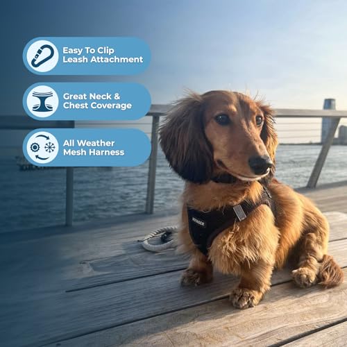 Best Pet Supplies Voyager Step-in Air Harness - All Weather Mesh, Reflective, No Pull Harness for Dogs, Cats - Secure with...
