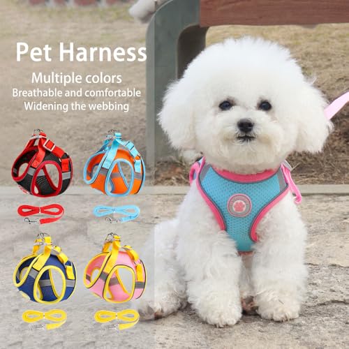 Ittokis Dog Harness for Small Medium Dogs, Kitten Harness and Leash Set, Step in Harness for Walking, Running, Training, S...