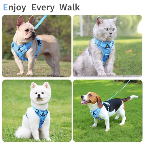 Jolifield No Pull Dog Harness with Leash Set for Small Sized Dog, Reflective Adjustable No Choke Front Clip Cat Vest Harne...