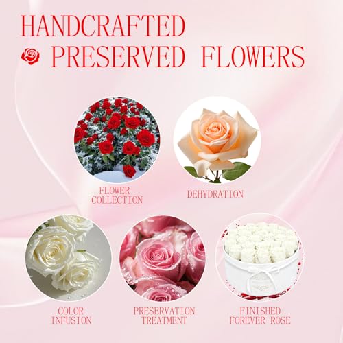 27 Forever Flowers in a Luxury Suede Box, Preserved Roses Birthday Gifts for Women, Romantic Anniversary Wedding Gifts for...