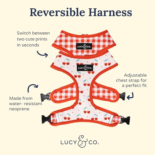 Lucy & Co. Cheery Cherries, Cute Reversible Dog Harness Walking Halter - Best Designer Pet Harnesses for XS - XL Dogs - Pa...