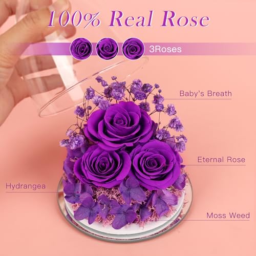 FIACO Gifts for Mom Grandma from Daughter Mothers Day Preserved Roses Forever Flowers in Glass Angel Figurines Fresh Flowe...