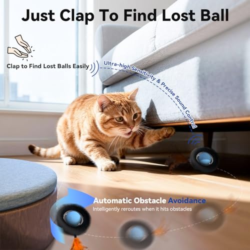 KiwiLove Interactive Cat Toy with Motion Activated Ball & 7-Hole Play Mat, Hide and Seek Exercise Game for Indoor Cats, Au...