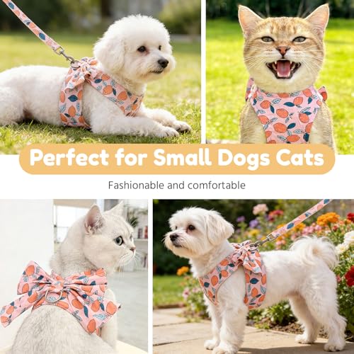 BAEJMJK Dog Harness and Leash Set with Bow Knot No Pull Pet Floral Harness with D-Ring Soft Mesh Dog Harness Vest Set Esca...