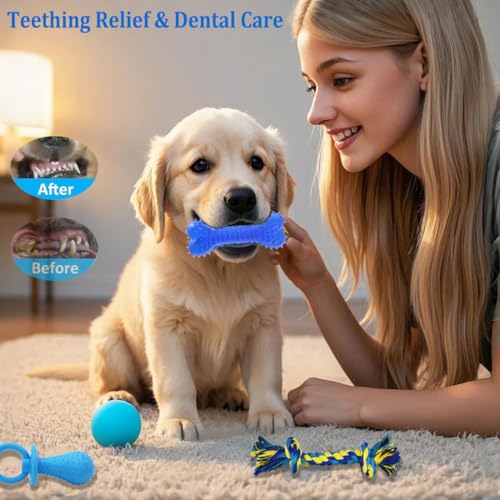 Beiker 20 Pack Puppy Chew Toys - Blue Dog Teething Toys for Puppies, Puppy Teething Rings and Ropes, Blue Rubber Toy Bundl...