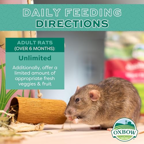 Oxbow Essentials Rat Food, Pet Food for Adult Rats, All-Natural Vitamin & Mineral Rich Formula, Veterinarian Recommended, ...