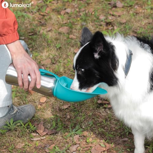 LumoLeaf Portable Dog Water Bottle 27 OZ, Stainless Steel Pet Travel Water Bottle Dispenser for Walking, Hiking and Outdoo...