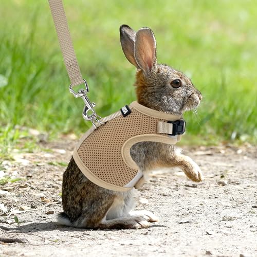 AIITLE Breathable Bunny Harness and Leash Set, Adjustable Straps & Magic Tape Design, Comfort Fit Vest for Puppies, Cats, ...