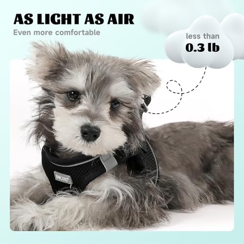 Bolux Dog Harness Small Sized and Leash Set, Step in Soft Light Puppy Vest, Breathable Mesh Pet Harness, Reflective for Sa...