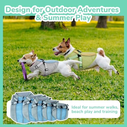 FUAMEY Dog Cooling Vest for Small Dogs, Doggy Evaporative Cooling Jacket in Hot Weather, Puppy Breathable Mesh Cooler Vest...