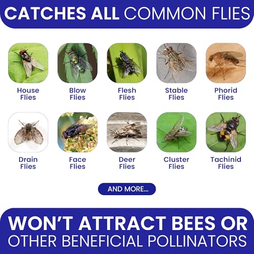 Fly Trap Outdoor Fly Traps for Patio with 2 Non-Toxic Dissolvable Bait Refills. Reusable Hanging Bug Catcher Killer for Al...