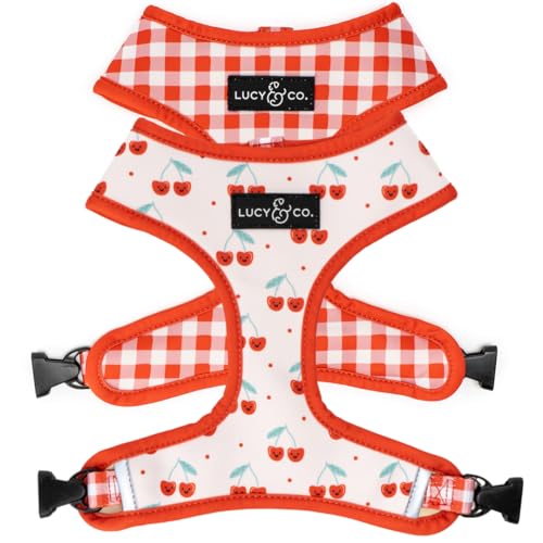 Lucy & Co. Cheery Cherries, Cute Reversible Dog Harness Walking Halter - Best Designer Pet Harnesses for XS - XL Dogs - Pa...