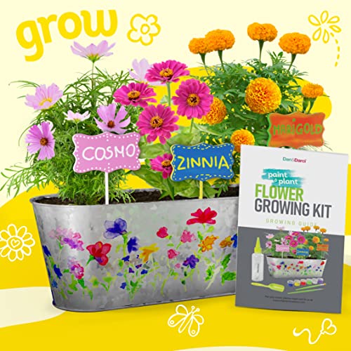 Dan&Darci Paint & Plant Flower Growing Kit for Kids - Gift Ideas Age 5 6 7 8-12 Year Old Girl - Birthday Crafts Gifts for ...