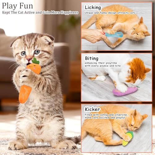 ETEKYER Catnip Cat Toys, 5 Pack, Plush Cat Nip Toys for Indoor Kitten Kitty, Interactive Cat Kicker Chew Safe Teeth Cleani...