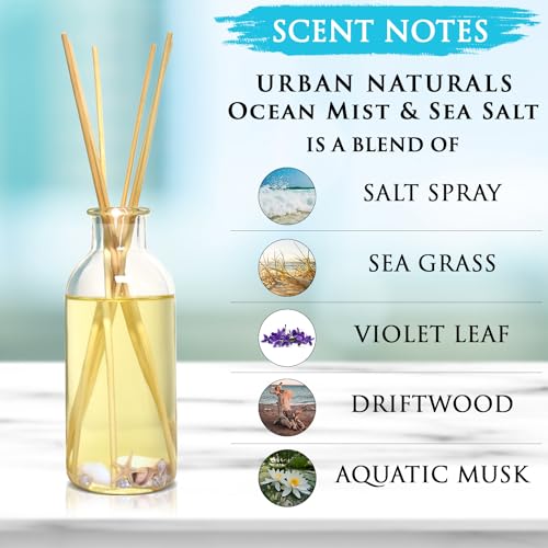 Urban Naturals Ocean Mist & Sea Salt Reed Diffuser Set | Made with Essential Oils & Real Seashells | Decorative Air Freshe...