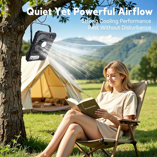 NAOIY Portable Fan, Camping Fan, 20000mAh 6-Inch 18-85H Rechargeable Ultra Thin Foldable with Built-in Power Bank, LED Lig...