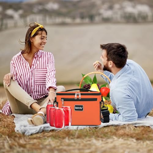 BEIMILY Lunch Box for Men/Women,Small Insulated Lunch Bag,Reusable LunchBox for work Picnic Beach,Leakproof Soft Cooler To...