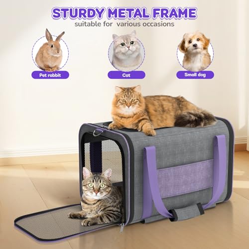 Cat Carrier on Wheels Airline Approved: Betopet Rolling Cat Carrier for Small Dog Medium Cat Under 18lbs - Cat Soft Carrie...