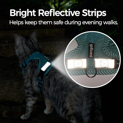 pangdi Cat Harness and Leash Escape Proof Extra Large Kitten Harness Maine Coon Cat Vest for Walking Travel, Turquoise, XL