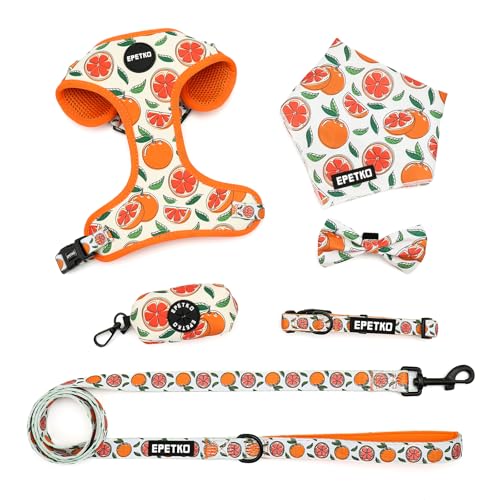 EPETKO Small Dog Harness and Leash Set of 6, No Pull Soft Lightweight Mesh Puppy Harness， Adjustable Cute Floral Pattern P...