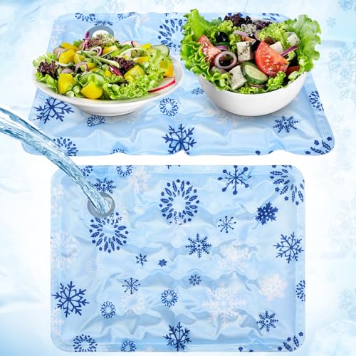 LemonRoad 2 Pack Reusable Freezable Ice Mat Sheets for Coolers Ice Mat Chill for Food Trays Cooling Charcuterie Cooler Bla...
