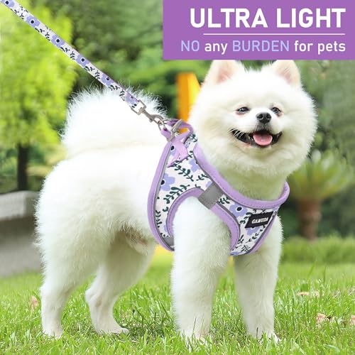 GAMUDA Small Dog Harness Collar and Leash Set, Step in No Chock No Pull Soft Mesh Adjustable Dog Vest Harnesses Plaid Refl...