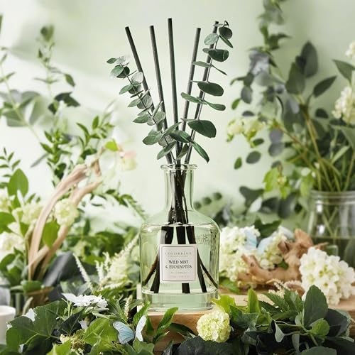 COCORRÍNA Wild Mint & Eucalyptus Reed Diffuser – 6.76 oz Essential Oil with 8 Reeds & Real Eucalyptus Sticks, Home Fragran...