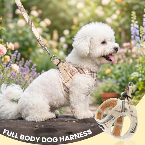 JVVGPET Dog Harness for Small Dogs - Plaid No Pull Dog Vest Harness and Leash Set - Step in Reflective Adjustable Soft Mes...