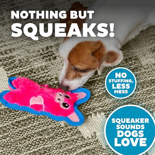 Outward Hound Durablez Minis – Squeaky Plush Dog Toy, No Stuffing for Less Mess, Interactive & Tough, Jumbo Squeaker, Pupp...