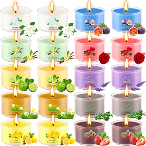 Aromatherapy Scented Candles 20 Pack - Small Candle Gift Set for Women with 10 Scents, 35g Long-Lasting Soy Wax Candles fo...