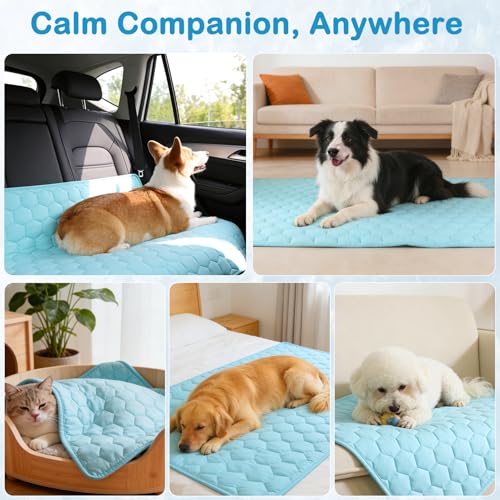 Vivifying Cooling Blanket for Dogs, Reversible Ice Silk Dog Cooling Mat with Waterproof Layer, Soft Pet Throw Blanket for ...